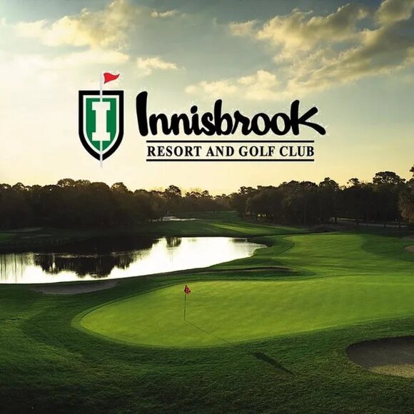 Nike Golf Mens Polo Shirt Black Short Sleeves Innisbrook Logo Embroidered Size L - Picture 13 of 14